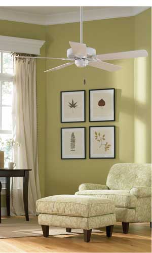 Ceiling Fans