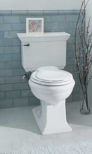 Toilet Main Image